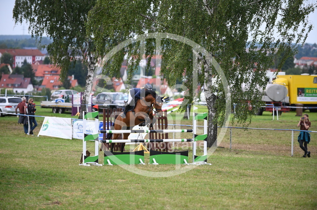 DSC_3771 | sattelsport - Realisiert mit Pictrs.com