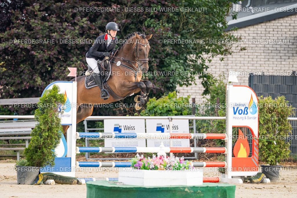 DSC07850 | Pferdegrafie