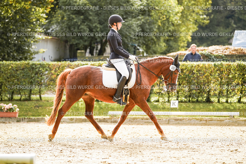 DSC00782 | Pferdegrafie