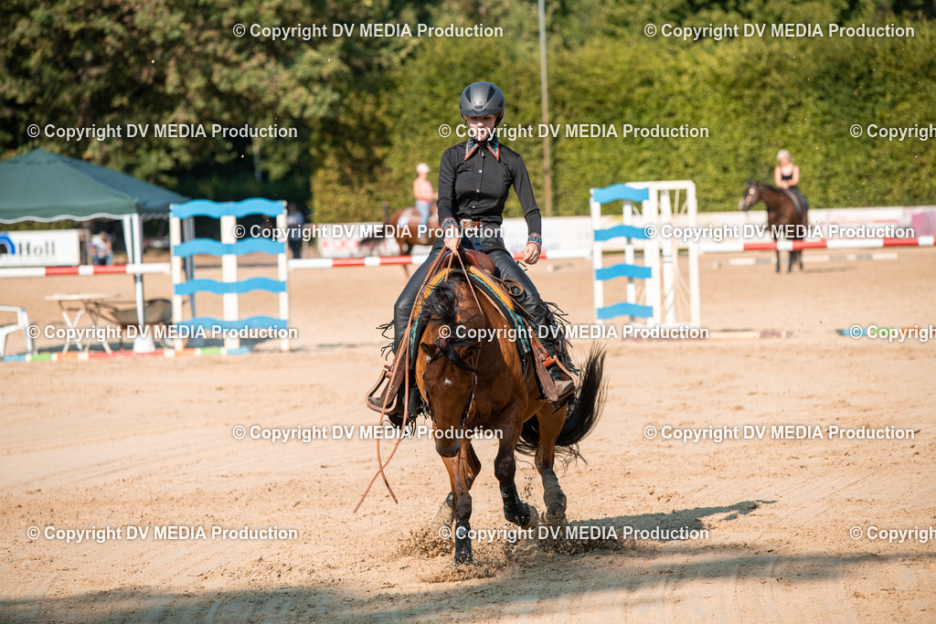 ZS2_8890 | dv-media-shop - Realisiert mit Pictrs.com