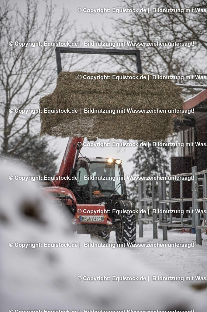 20210210_Hoflader_0003 | equistock