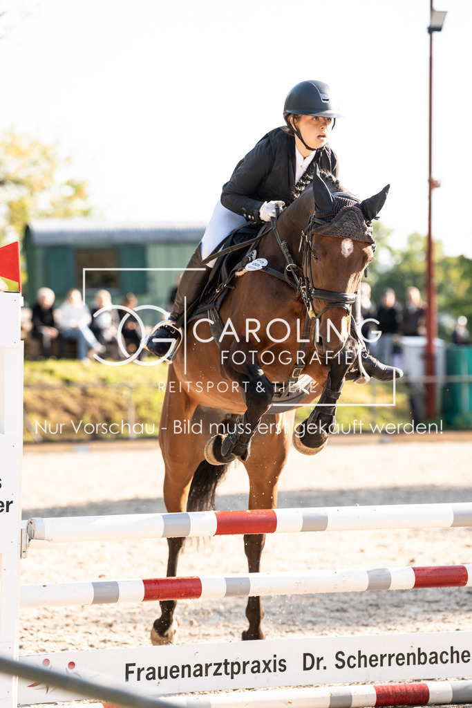 DSC01772 | Carolin Gieschke