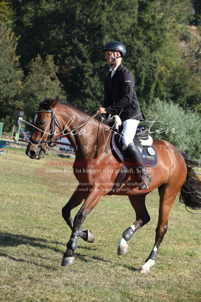 DSC_5361 | Pferde- und Turnierfotografie in Westsachsen. Pferdeportraits, Auftragszeichnungen und intuitive Kunst.