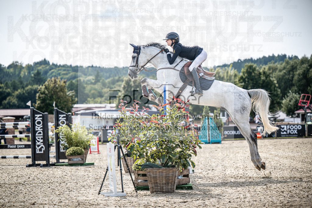 DOS_8788 | Entdecke hochwertige Reitturnierfotos von Foto Oger. Professionell, emotional und authentisch – jetzt Lieblingsmomente im Shop bestellen.Deutschlandweite Turnierfotografie. - Realisiert mit Pictrs.com