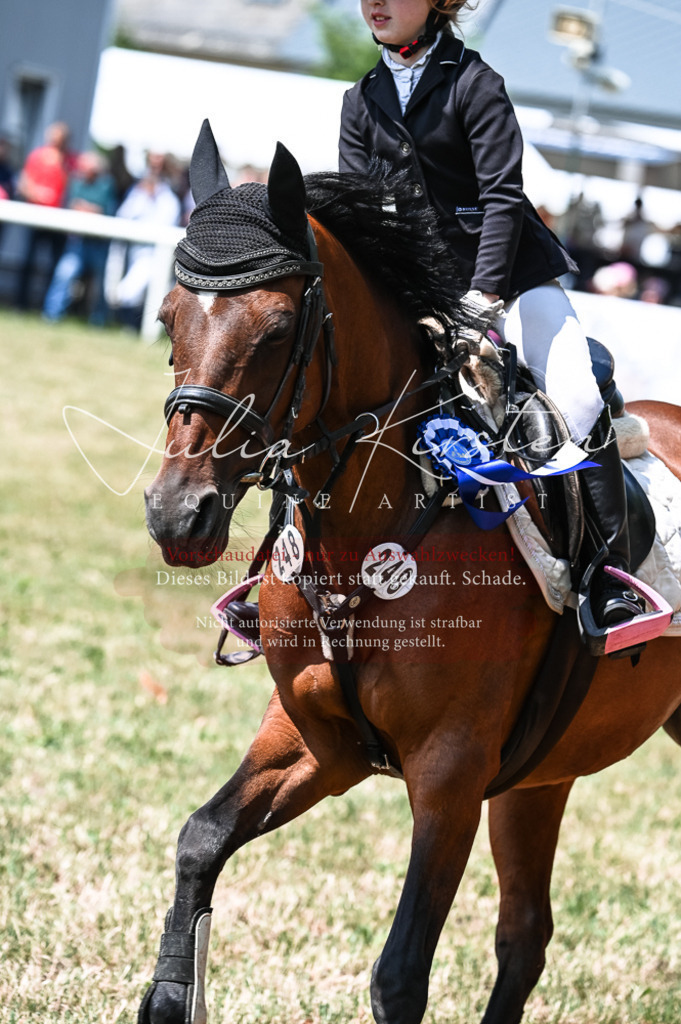 DSC_9510 | Pferde- und Turnierfotografie in Westsachsen. Pferdeportraits, Auftragszeichnungen und intuitive Kunst.