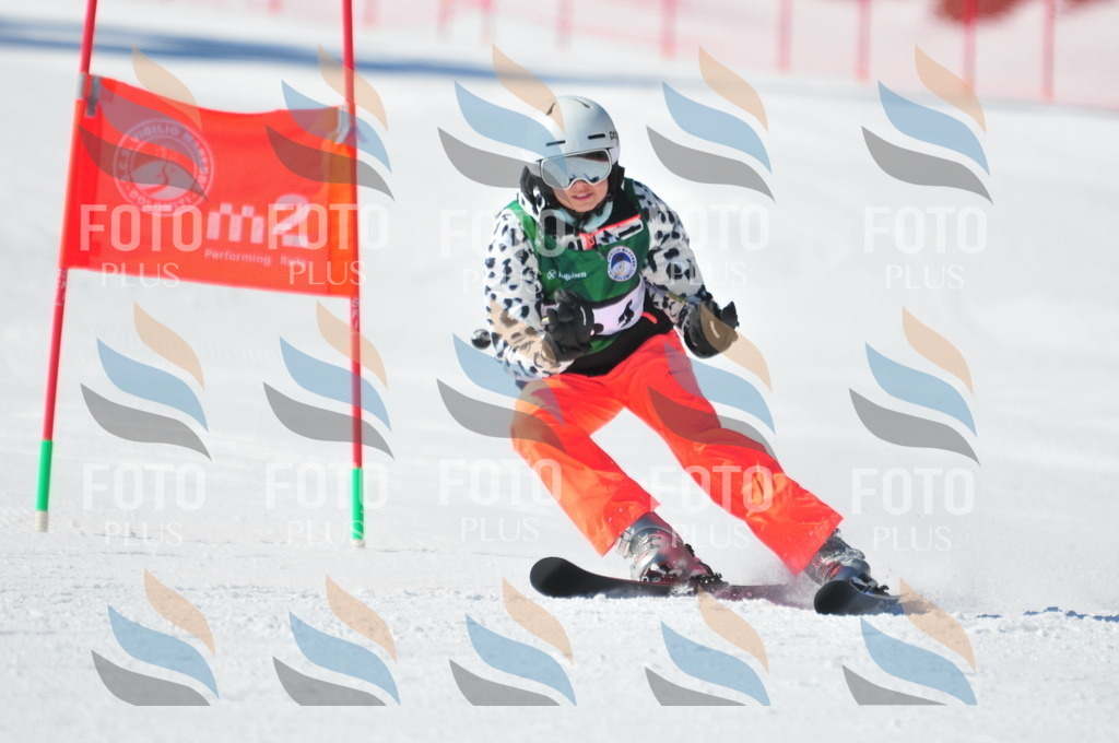 C3786 | holidayphoto