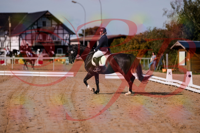 2026_10_03_Siefer-Hof_113439_Z81_79370079 | Professionelle Reitsport-, Turnier- und Eventfotografie von Robert Broda. Galerien mit ausgewählten und bearbeiteten Bildern direkt online ansehen und bestellen.