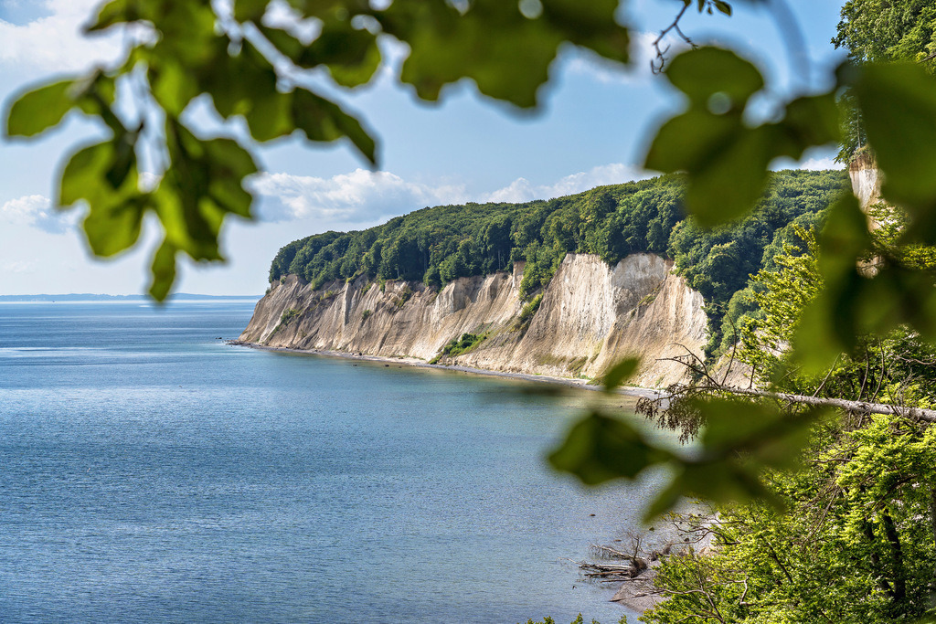 Kreidefelsen auf Rügen | Blick vom Hochuferweg auf die Kreidefelsen auf Rügen. - Realisiert mit Pictrs.com