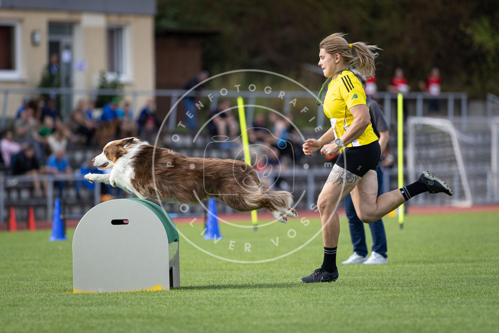 Pfotenfotografie_DV3A1600 | Hundefotografie, Tierfotograf, Pfotenfotografie, Fotoshooting Hund, Hunde Portrait, Hundesport, Hundeportraits, Heideshooting, Hunde, Sportfotograf, Hundefotograf, Turnierhundsport, THS,  - Realisiert mit Pictrs.com