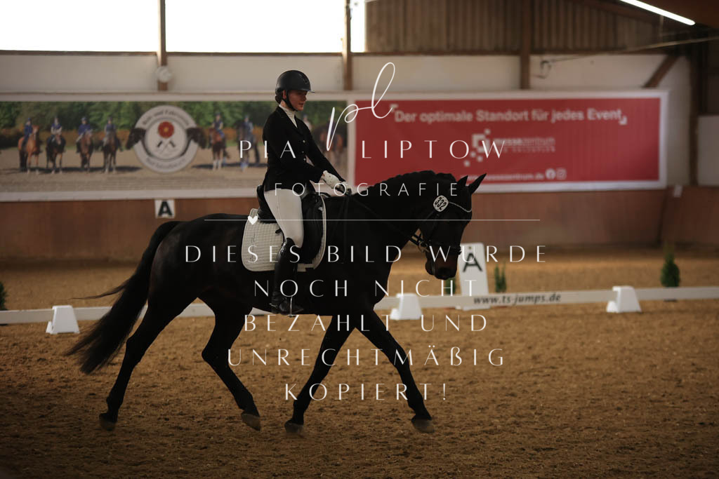 IMGT7708 | pl-fotografie