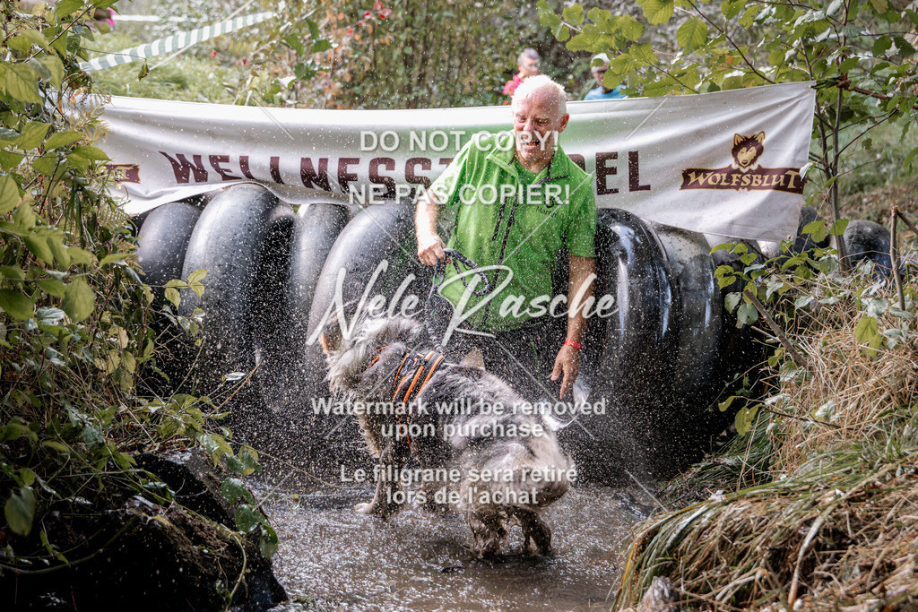 nelerasche_Hunsrück2026_Sa1400-1500_89 | nelerasche