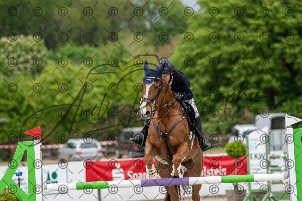 KPT_0281 | andre_photographic