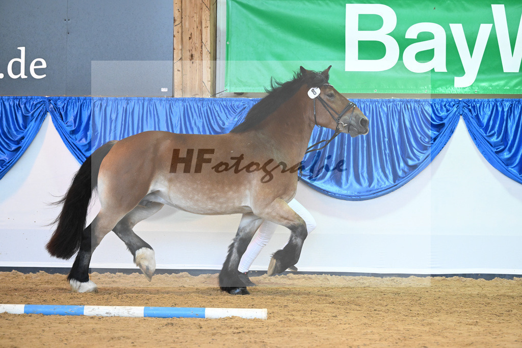 Kat-Nr. 8 Finja_Boes_53220965 | hf-fotografie - Realizzato con Pictrs.com