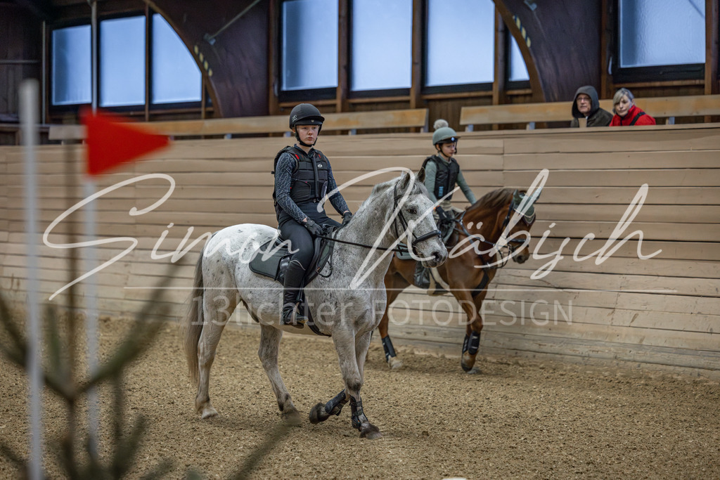 20260222-_3LI0628 | Tierfotografie Pferde, Hunde, Katzen, Haustiere.
Turnierfotografie Reitturniere, Reiten, Springreiten, Dressur in Hanau, dem Main-Kinzig-Kreis und dem Rhein-Main- Gebiet um Frankfurt