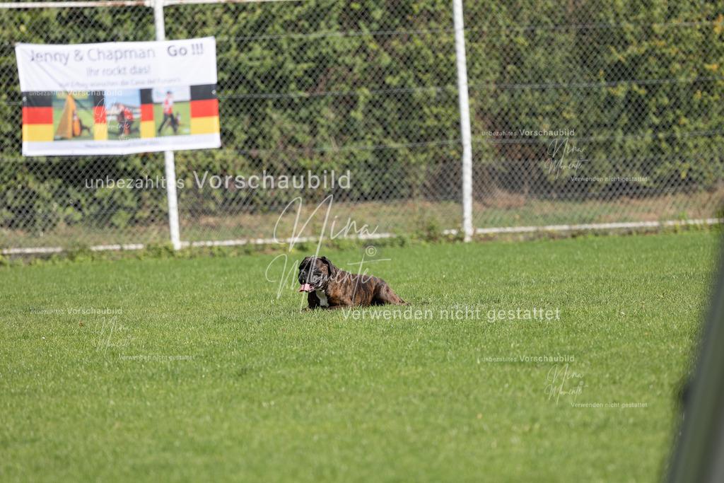 _16A6875 | Einzigartige Fotos von Hunden & Menschen –Actionfotos, Portraits, Vereinsaufnahmen & Paarshootings – authentisch, lebendig & mit Herz.