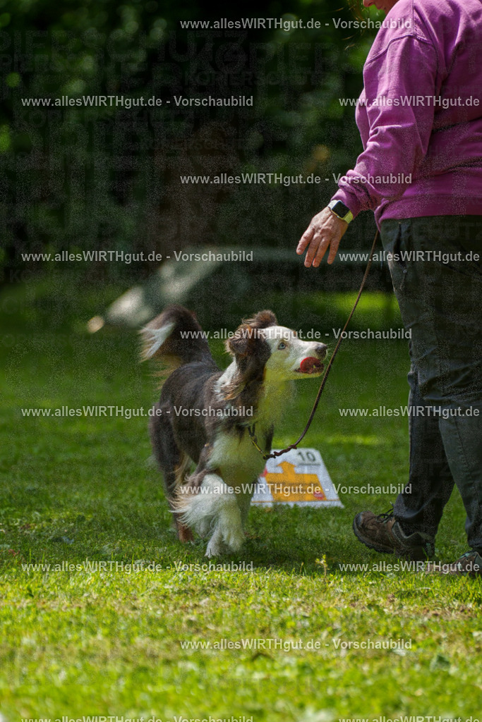 @allesWIRTHgut_Tierfotografie - www.allesWIRTHgut.de - 7R504913 | Professionelle Tierfotografie in Mönchengladbach von Daniel Wirth (allesWIRTHgut). Liebevolle & natürliche Bilder von Hunden & Katzen für unvergessliche Erinnerungen.