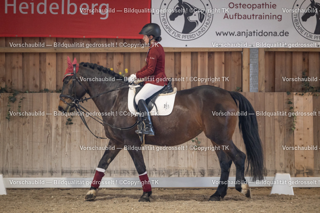 _D5A5485 | Emotionale Pferde- & People-Fotografie rund um Heidelberg, Leimen & Umgebung. Natürliche Fotos von Pferd, Mensch & Familie. Jetzt Termin sichern!