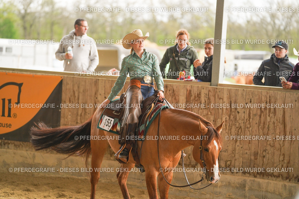 DSC05096 | Pferdegrafie