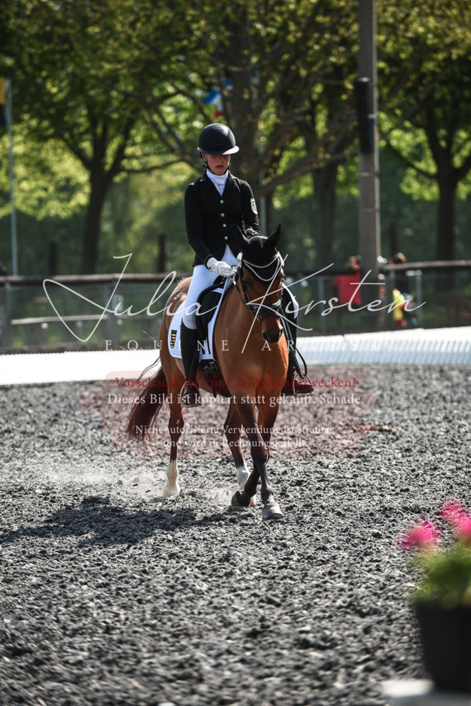 DSC_8989 | Pferde- und Turnierfotografie in Westsachsen. Pferdeportraits, Auftragszeichnungen und intuitive Kunst.