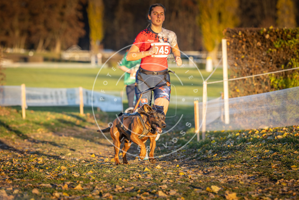 CaniXpix_DV3A5457 | Hundefotografie, Tierfotograf, Pfotenfotografie, Fotoshooting Hund, Hunde Portrait, Hundesport, Hundeportraits, Heideshooting, Hunde, Sportfotograf, Hundefotograf, Turnierhundsport, THS,  - Realisiert mit Pictrs.com