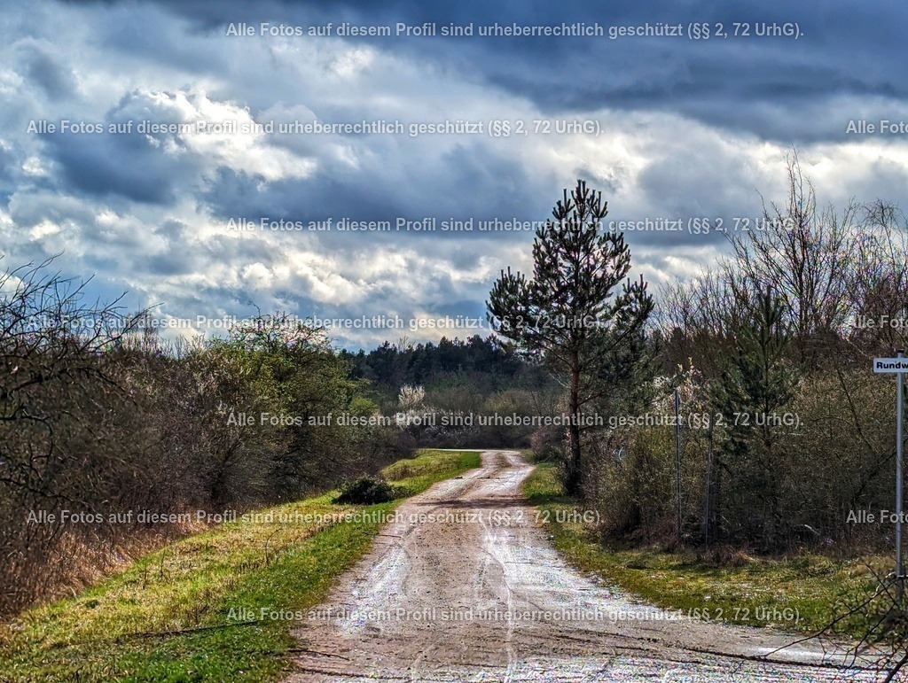 PXL_20240324_132035857-01 | krollfotografie - Realisiert mit Pictrs.com