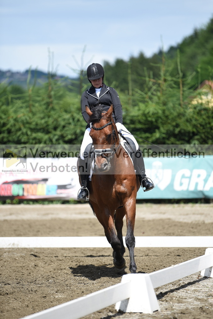 DSC_0488 | equestrian-live-com
