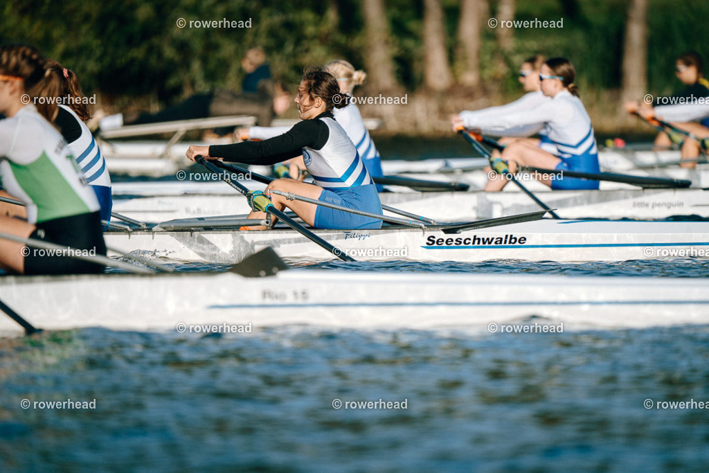 20251004_rowerhead_R014_S0380_DSC04711 | rowerhead - Realisiert mit Pictrs.com