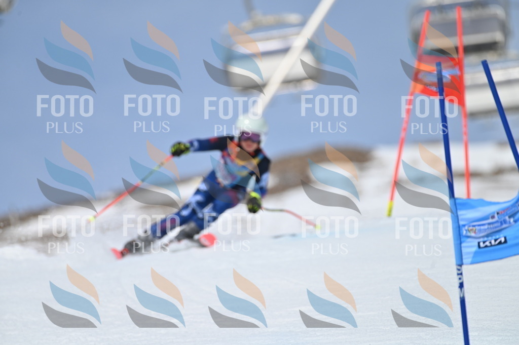 BGV_4257 | holidayphoto