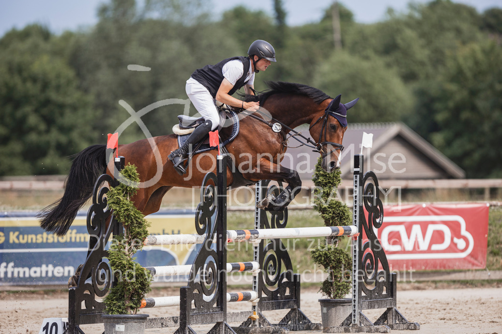 240627_LüPfSpTa_SprPf-L-136 | Deine schönsten Turniermomente als professionelle Fotos! Entdecke hochwertige Pferdesport-Fotografie im Online-Shop. Jetzt Fotos finden & bestellen!