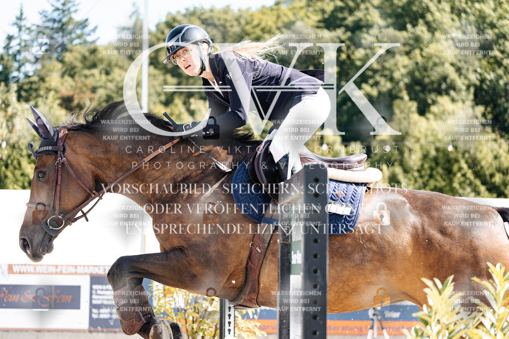 CK908647 | Turnierfotografie Pferdefotografie Trier Rheinland-Pfalz Pferdesport Reitsport Tierfotografie Sportfotografie Pferdevideo Pferdevideografie Equestrianvideography equestrianphotography  - Realisiert mit Pictrs.com