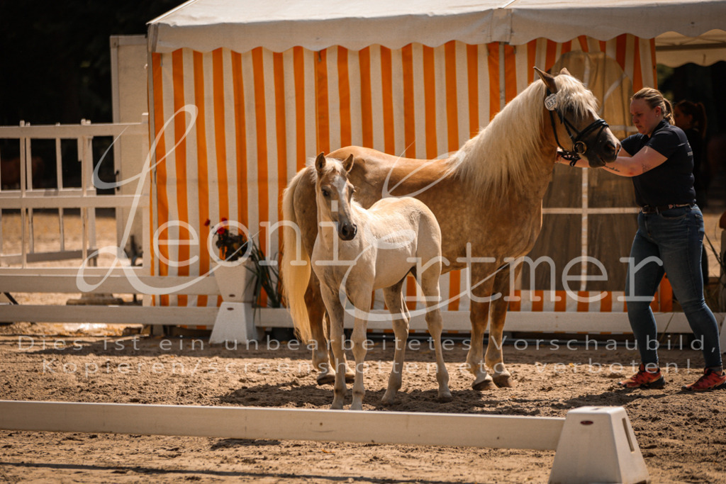 06.DoH00112 | Leoni Ertmer Photography - Realisiert mit Pictrs.com