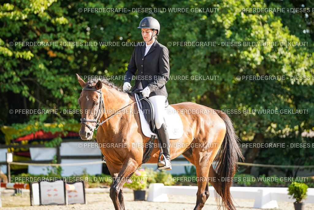 DSC08455 | Pferdegrafie