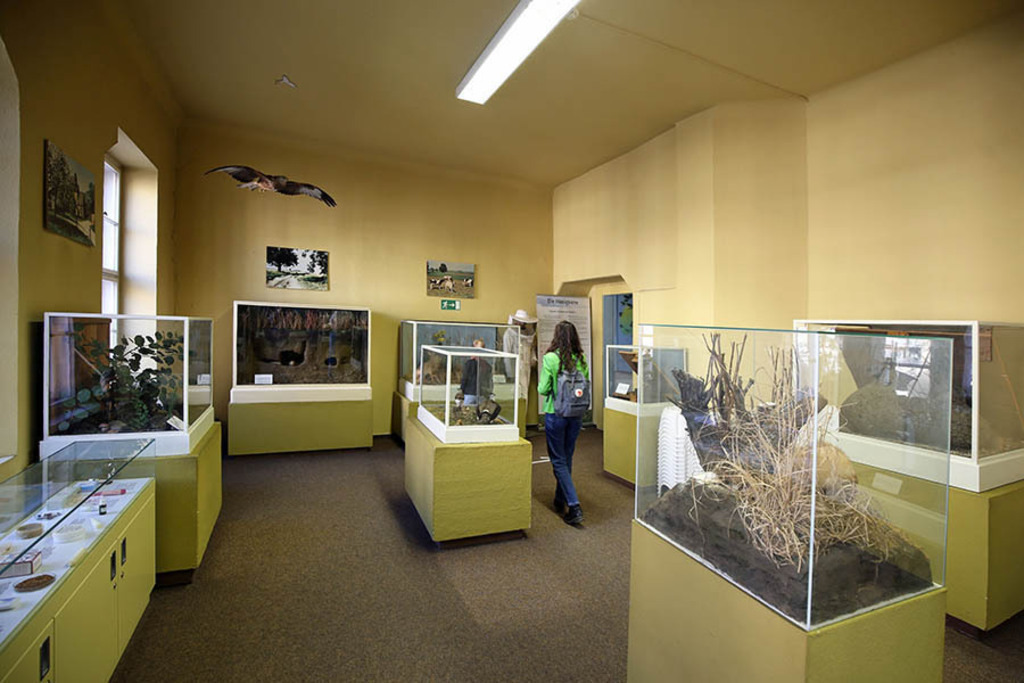 Foto: Leipzig - Naturkundemuseum Leipzig | Das Team hinter BILDLEXIKON LEIPZIG bündelt historische wie aktuelle Informationen über die Stadt Leipzig in Text und Bild auf einer Plattform und stellt diese der interessierten Öffentlichkeit zur Verfügung.