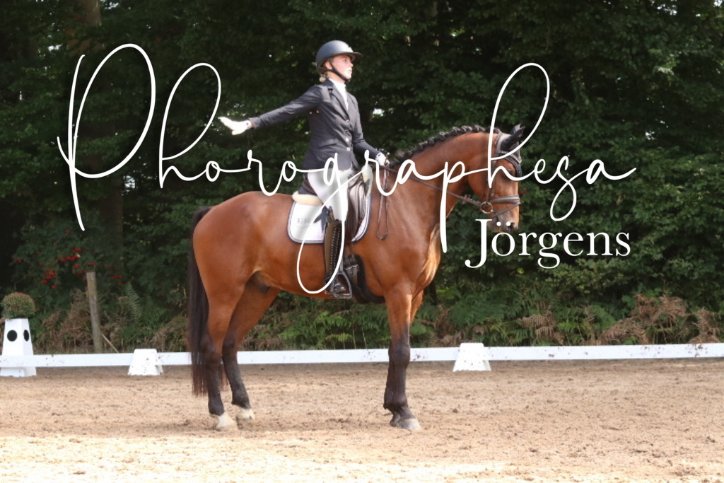 IMG_0409 | photographesa-joergens - Realisiert mit Pictrs.com