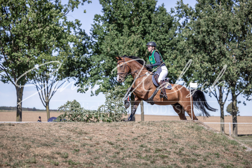 20260906-_3LI5154 | Tierfotografie Pferde, Hunde, Katzen, Haustiere.
Turnierfotografie Reitturniere, Reiten, Springreiten, Dressur in Hanau, dem Main-Kinzig-Kreis und dem Rhein-Main- Gebiet um Frankfurt