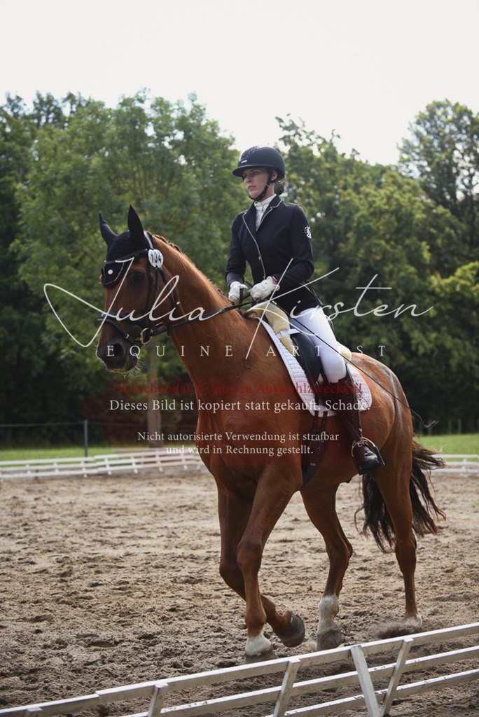 DSC_0726 | Pferde- und Turnierfotografie in Westsachsen. Pferdeportraits, Auftragszeichnungen und intuitive Kunst.