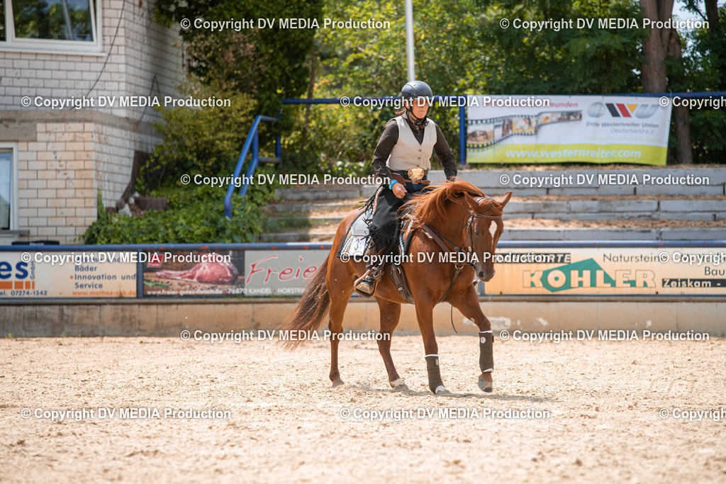 EWP_6517 | dv-media-shop - Realisiert mit Pictrs.com