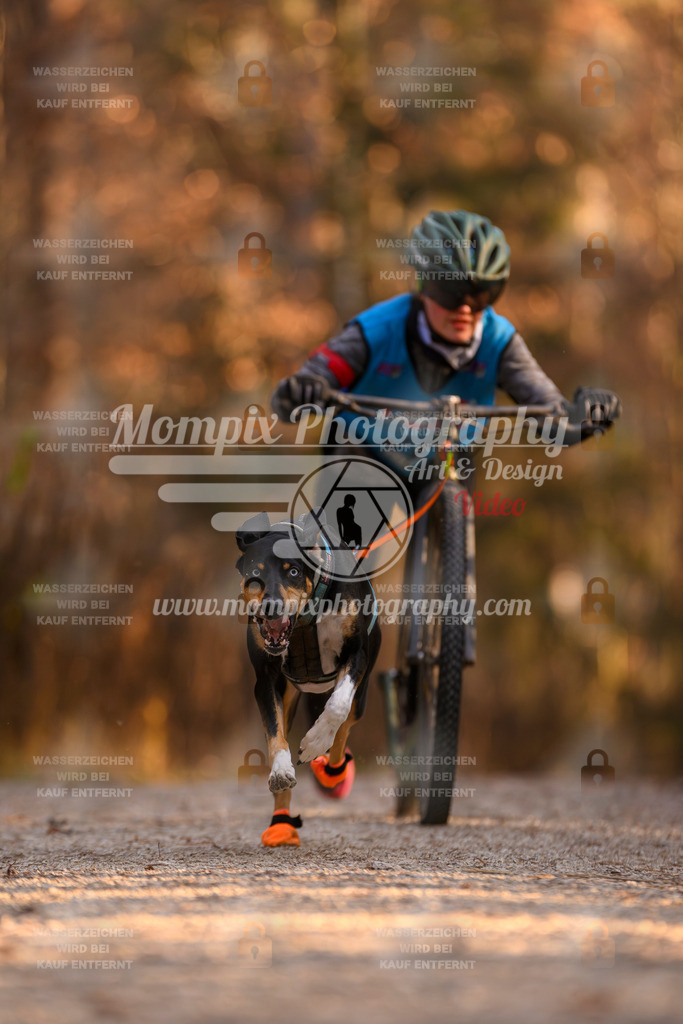 MompixPhotography_DM_AKDM_SO_2025_Scooter-117 | PayLife