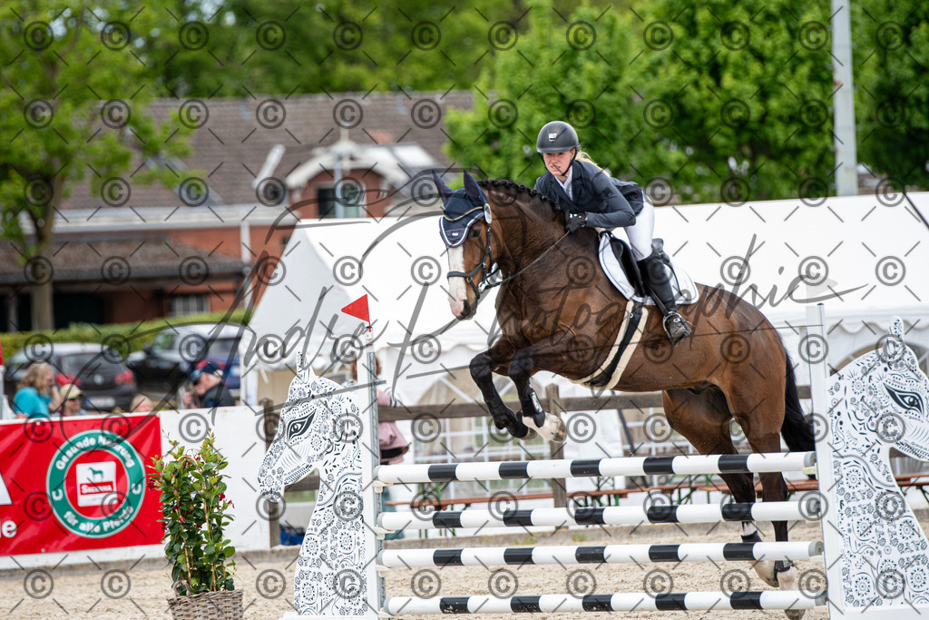 KPT_5767 | andre_photographic