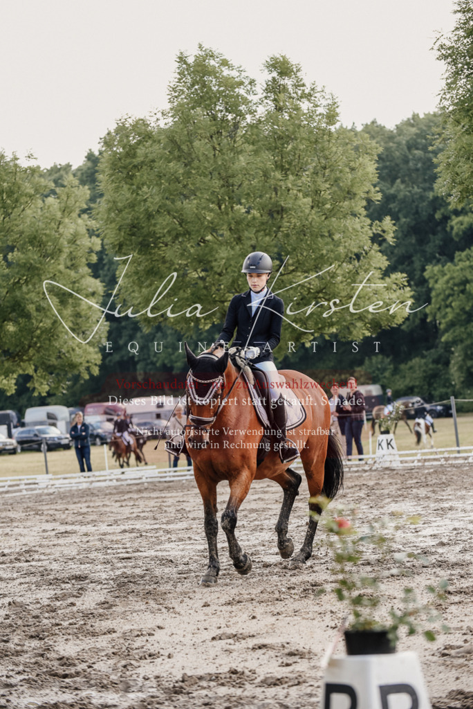 DSC_8175 | Pferde- und Turnierfotografie in Westsachsen. Pferdeportraits, Auftragszeichnungen und intuitive Kunst.