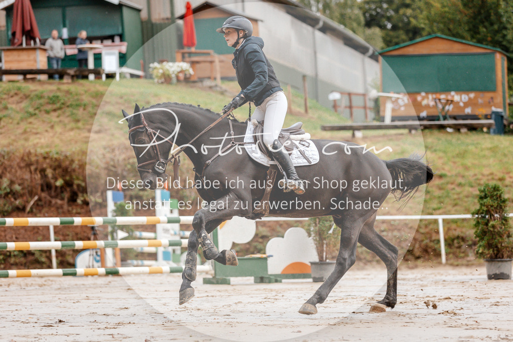 3I6A5552 | Stimmungsvolle Portraits und Reitsportfotografie im Ruhrgebiet und im Münsterland.

Pferdefotografie, Hundefotografie, Tierfotografie, Reportagen, Portraits von Tier und Mensch, Turnierfotografie in Bochum, Recklinghausen, Marl, Haltern am See, Dülmen.. - Realisiert mit Pictrs.com