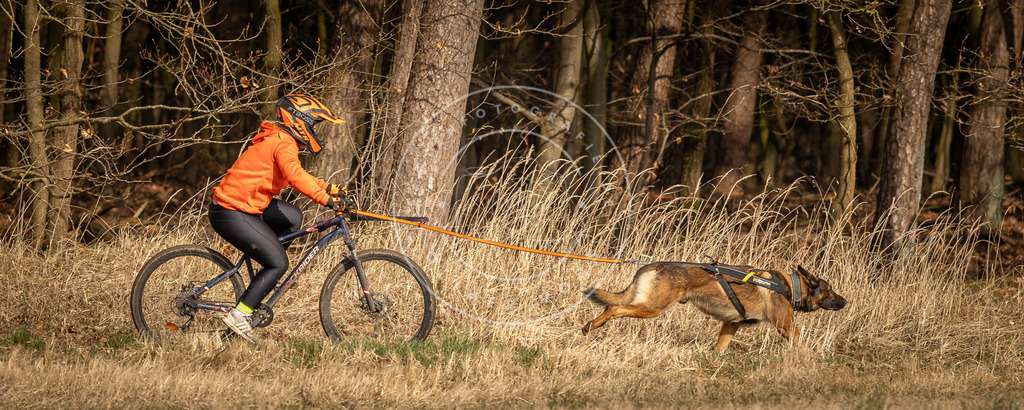 DV3A4319 | Hundefotografie, Tierfotograf, Pfotenfotografie, Fotoshooting Hund, Hunde Portrait, Hundesport, Hundeportraits, Heideshooting, Hunde, Sportfotograf, Hundefotograf, Turnierhundsport, THS,  - Realisiert mit Pictrs.com
