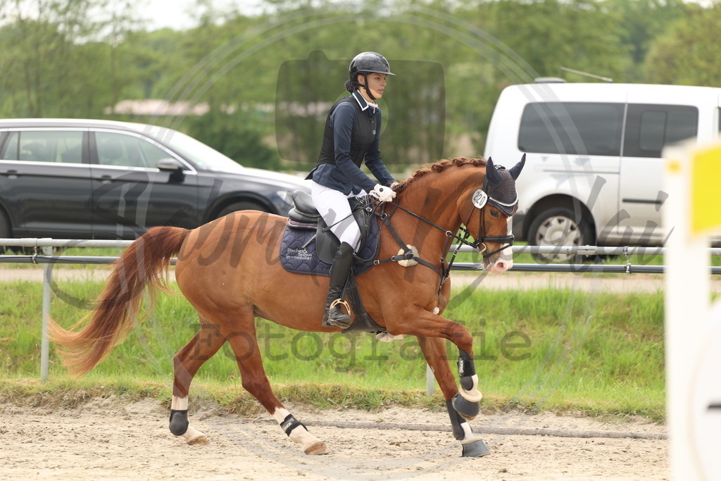 994A8928 | sabrinanicolaifotografie - Realisiert mit Pictrs.com