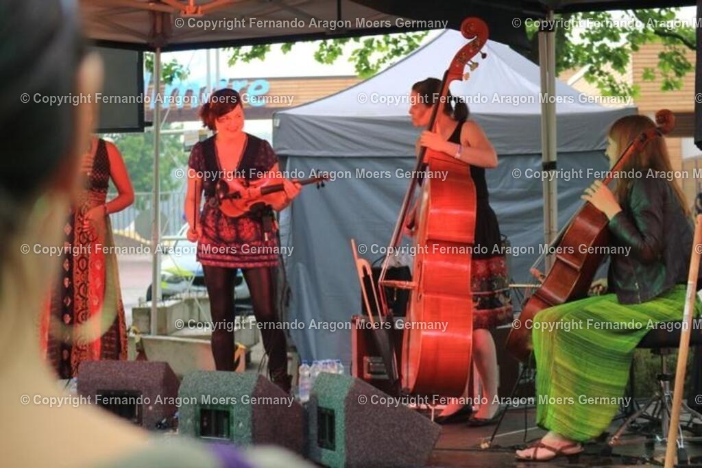 IMG_4563 | aragon-pics - Realisiert mit Pictrs.com