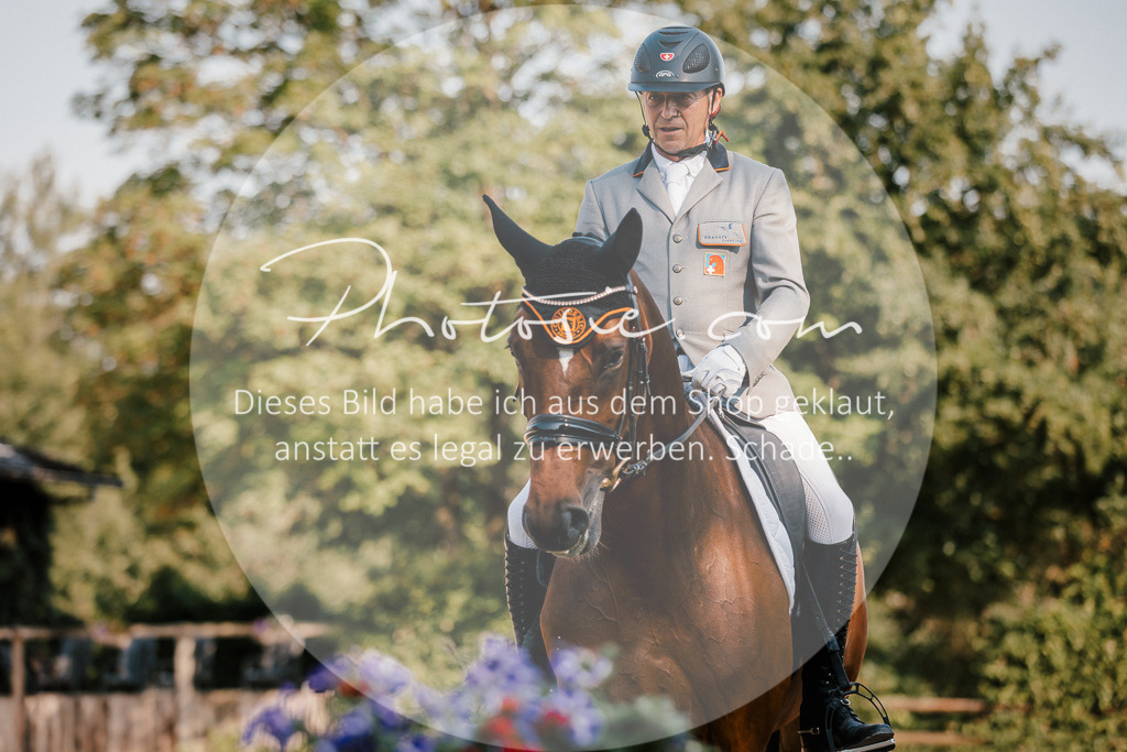 3I6A8808 | Stimmungsvolle Portraits und Reitsportfotografie im Ruhrgebiet und im Münsterland.

Pferdefotografie, Hundefotografie, Tierfotografie, Reportagen, Portraits von Tier und Mensch, Turnierfotografie in Bochum, Recklinghausen, Marl, Haltern am See, Dülmen.. - Realisiert mit Pictrs.com