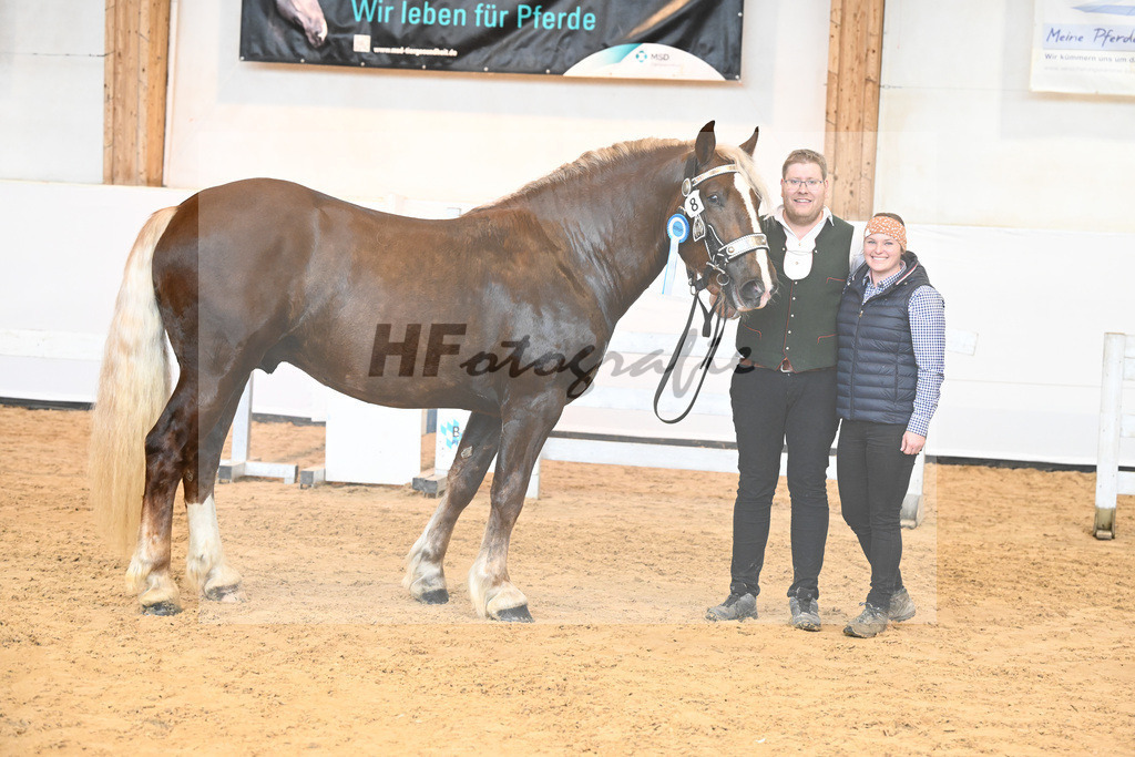 Kat-Nr. 8 v. Valegro_Glonecker_6240211 | hf-fotografie - Realisiert mit Pictrs.com