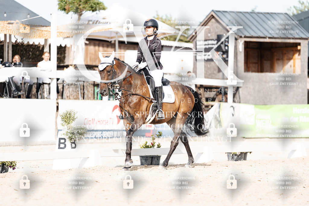 CK905288 | Turnierfotografie Pferdefotografie Trier Rheinland-Pfalz Pferdesport Reitsport Tierfotografie Sportfotografie Pferdevideo Pferdevideografie Equestrianvideography equestrianphotography  - Realisiert mit Pictrs.com