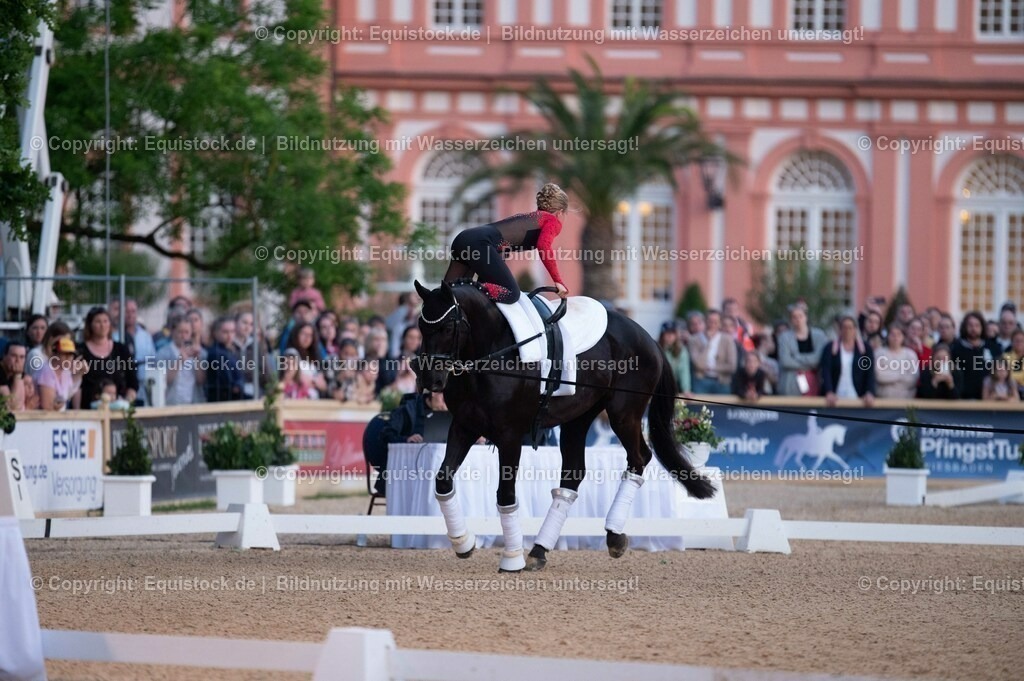 20230527_Voltigieren_NASPA_Flutlicht_0210 | equistock