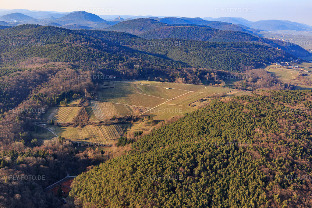 Luftbild: Winterliche Weinberge im Naturschutzgebiet Haardtrand-Wolfsteig in Pleisweiler-Oberhofen im Bundesland Rheinland-Pfalz in Deutschland. Foto: IMG_105083.jpg vom 24.03.2018 durch Werner Riehm/FLY-FOTO.de
