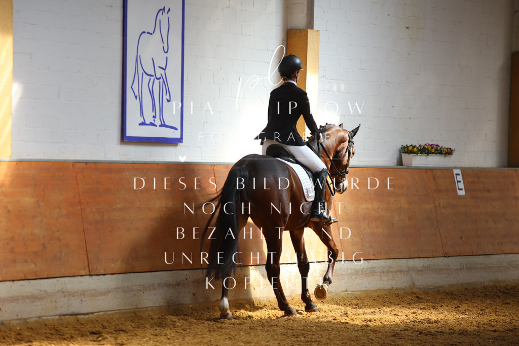 IMGT7733 | pl-fotografie